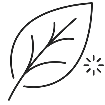 Icône formule naturelle